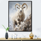 Cliff Climber Chamois goat - Goat Framed Canvas Art