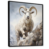 Cliff Climber Chamois goat - Goat Framed Canvas Art