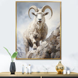 Cliff Climber Chamois goat - Goat Framed Canvas Art