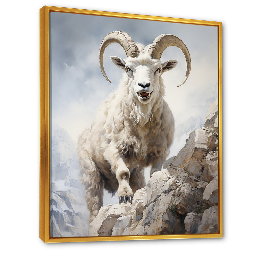 Cliff Climber Chamois goat - Goat Framed Canvas Art