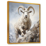 Cliff Climber Chamois goat - Goat Framed Canvas Art