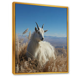 White Solitary Grazing Goat - Goat Wall Art Prints