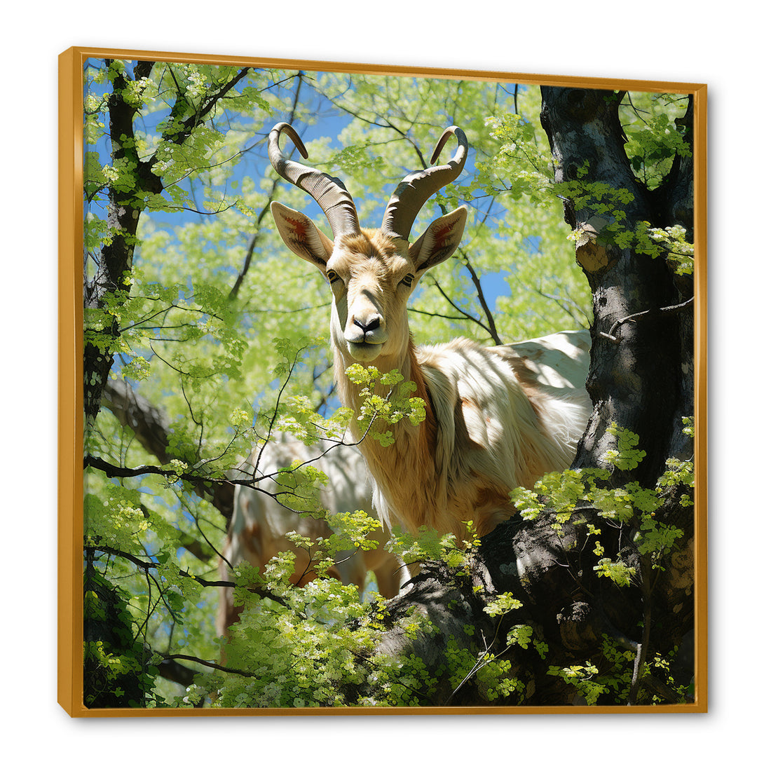White Portrait of Pastoral Goat in forest - White Goat Wall Art