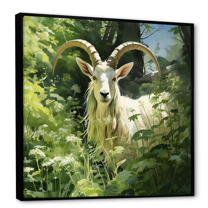 Pastoral goat Portrait - Goat Framed Canvas Art