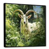 Pastoral goat Portrait - Goat Framed Canvas Art