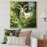 Pastoral goat Portrait - Goat Framed Canvas Art