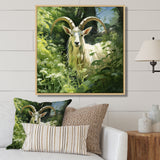 Pastoral goat Portrait - Goat Framed Canvas Art