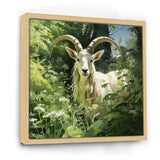 Pastoral goat Portrait - Goat Framed Canvas Art