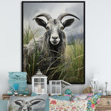 Grey meadow buck Goat Peaks - Goat Home Decor Art
