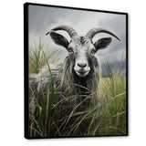Grey meadow buck Goat Peaks - Goat Home Decor Art