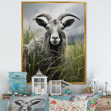 Grey meadow buck Goat Peaks - Goat Home Decor Art