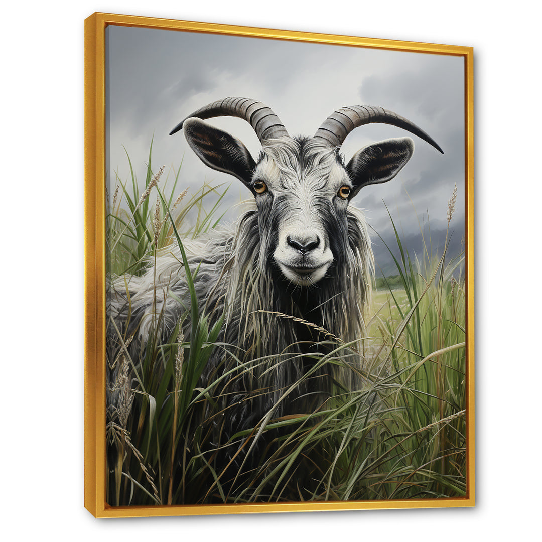 Grey meadow buck Goat Peaks - Goat Home Decor Art