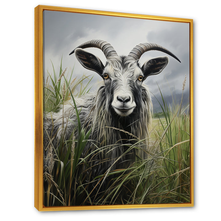 Grey meadow buck Goat Peaks - Goat Home Decor Art