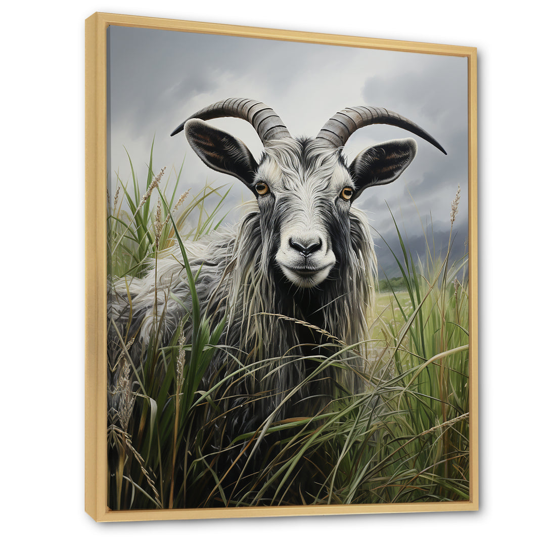 Grey meadow buck Goat Peaks - Goat Home Decor Art