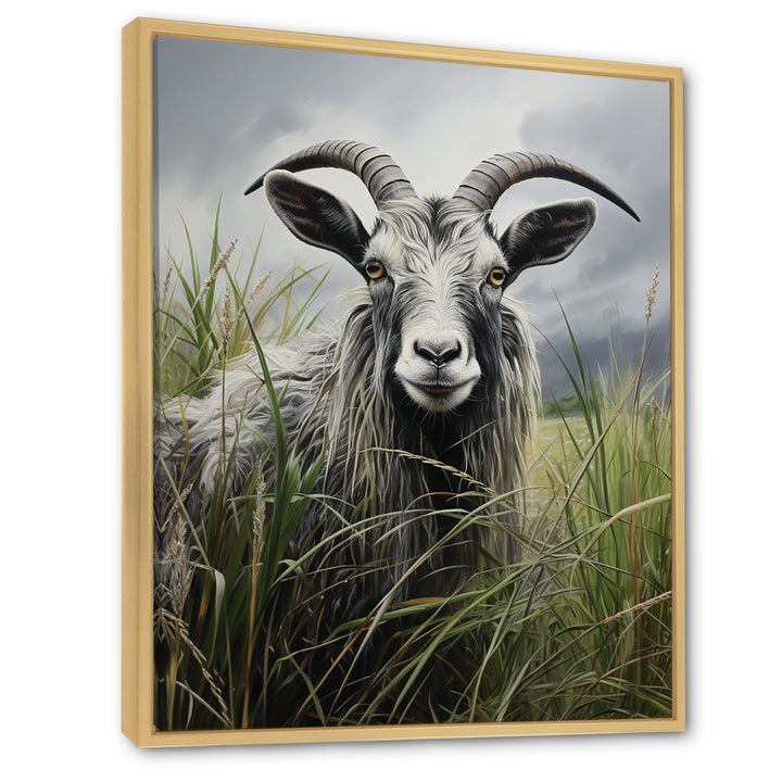 Grey meadow buck Goat Peaks - Goat Home Decor Art