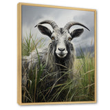 Grey meadow buck Goat Peaks - Goat Home Decor Art