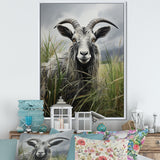 Grey meadow buck Goat Peaks - Goat Home Decor Art