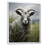 Grey meadow buck Goat Peaks - Goat Home Decor Art