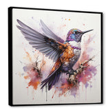 Purple Hummingbird Beauty - Hummingbird Framed Canvas Art