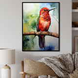 Red and green Radiant hummingbird Beauty - Hummingbird Large Canvas Wall Art