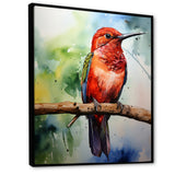 Red and green Radiant hummingbird Beauty - Hummingbird Large Canvas Wall Art