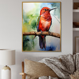 Red and green Radiant hummingbird Beauty - Hummingbird Large Canvas Wall Art