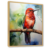 Red and green Radiant hummingbird Beauty - Hummingbird Large Canvas Wall Art