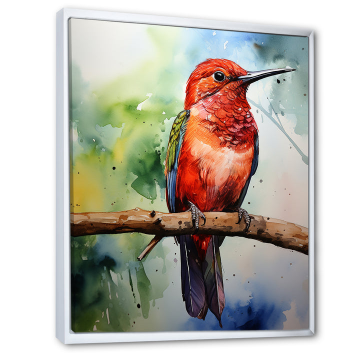 Red and green Radiant hummingbird Beauty - Hummingbird Large Canvas Wall Art