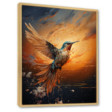 Sunbeam Swift hummingbird - Hummingbird Canvas Wall Art