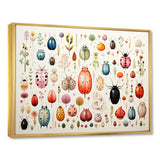 Colorful beetle meadow - Insects & Bugs Canvas Wall Art