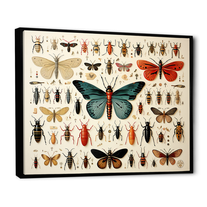 Orange and blue Insects and Bugs - Blue Insects &amp; Bugs Wall Art