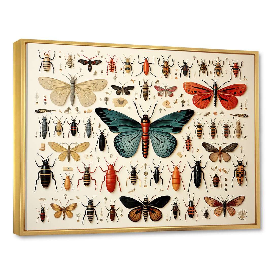 Orange and blue Insects and Bugs - Blue Insects &amp; Bugs Wall Art