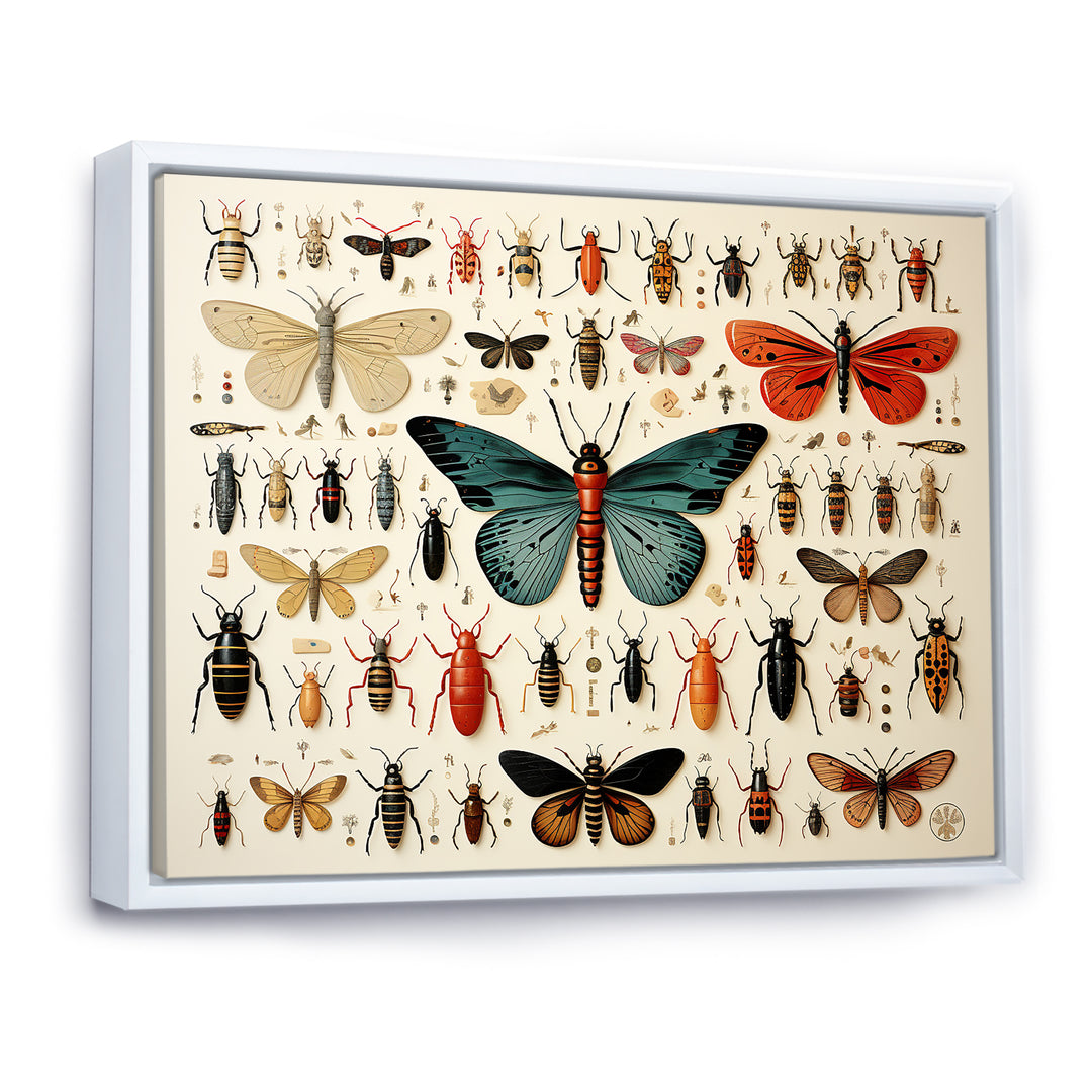 Orange and blue Insects and Bugs - Blue Insects &amp; Bugs Wall Art