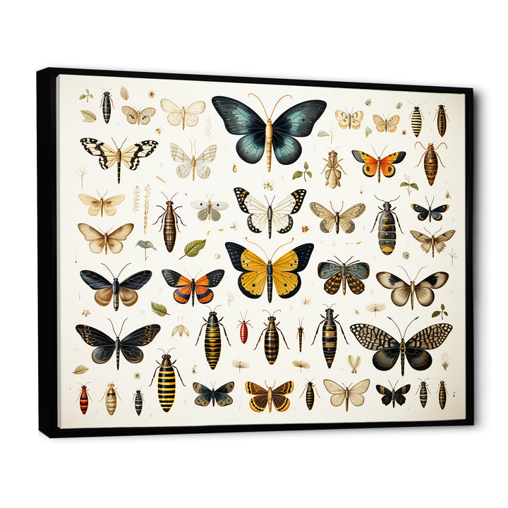 Blue and yellow Insects and Bugs - Insects &amp; Bugs Home Decor Art