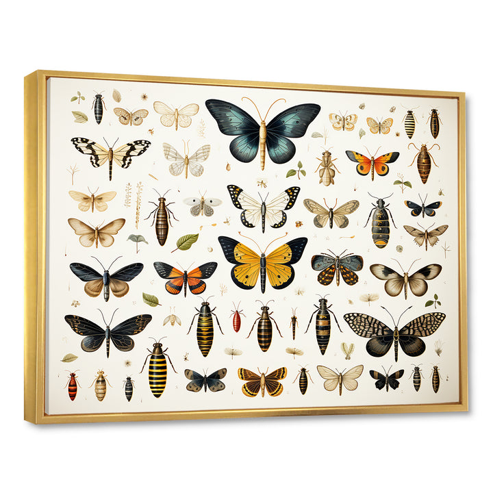 Blue and yellow Insects and Bugs - Insects &amp; Bugs Home Decor Art