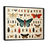 Blue and orange Insects and Bugs - Insects & Bugs Living Room Wall Art