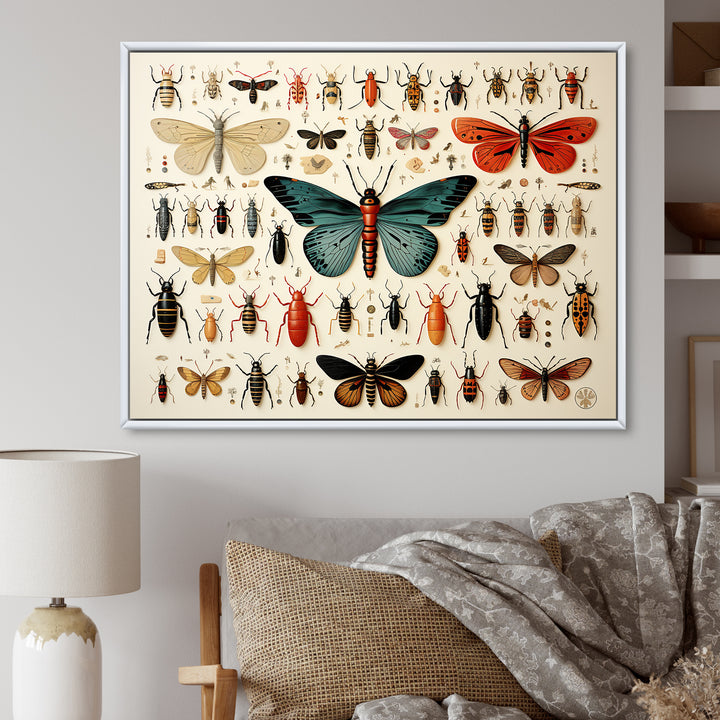 Blue and orange Insects and Bugs - Insects &amp; Bugs Living Room Wall Art