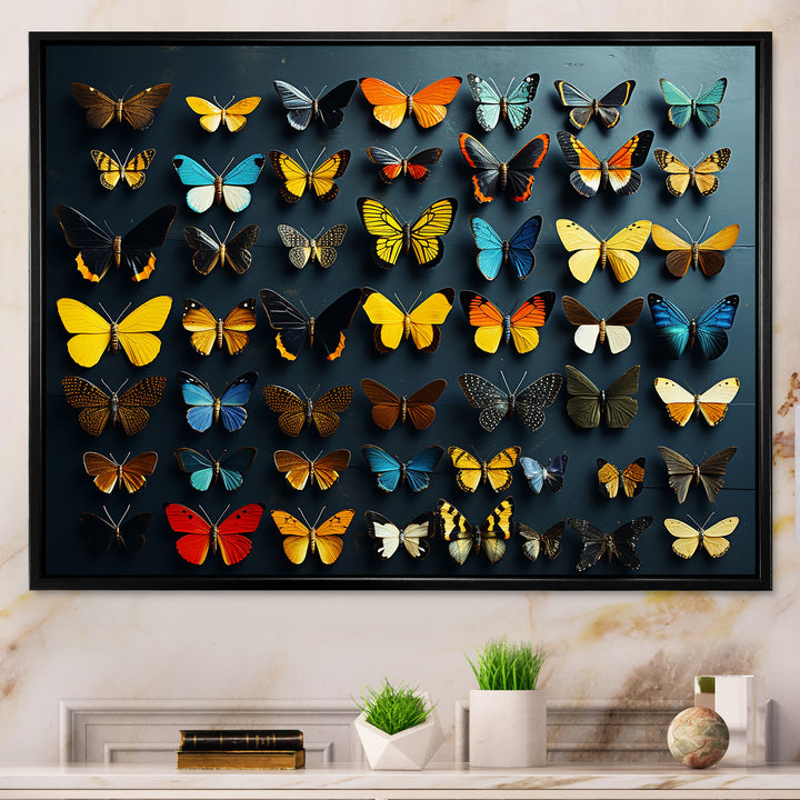 Colorful fluttering butterflies collage - Insects &amp; Bugs Home Decor Art