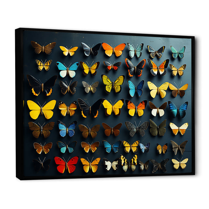 Colorful fluttering butterflies collage - Insects &amp; Bugs Home Decor Art