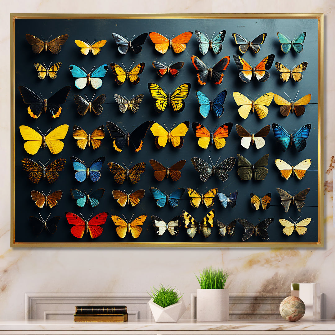 Colorful fluttering butterflies collage - Insects &amp; Bugs Home Decor Art