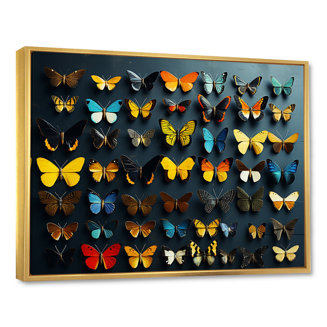 Colorful fluttering butterflies collage - Insects &amp; Bugs Home Decor Art