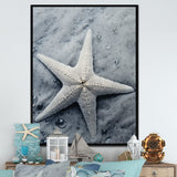Grey minimalist Starfish Coastal gem - Starfish Wall Decor