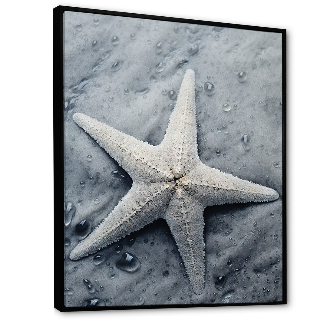 Grey minimalist Starfish Coastal gem - Starfish Wall Decor