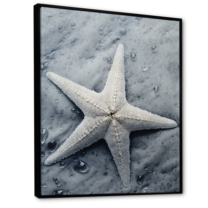 Grey minimalist Starfish Coastal gem - Starfish Wall Decor