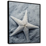 Grey minimalist Starfish Coastal gem - Starfish Wall Decor