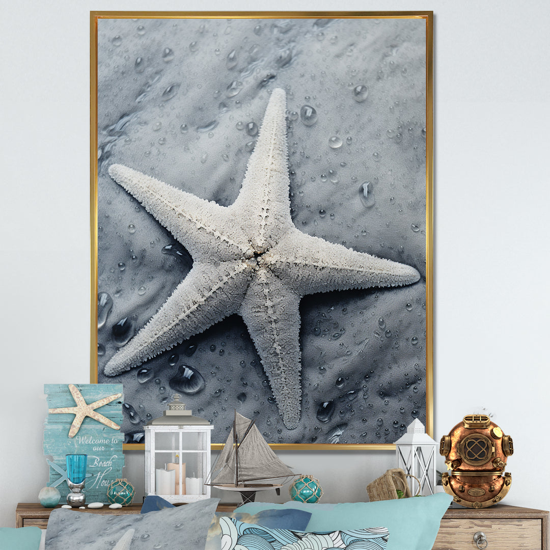 Grey minimalist Starfish Coastal gem - Starfish Wall Decor
