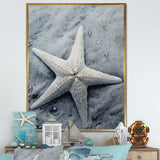 Grey minimalist Starfish Coastal gem - Starfish Wall Decor