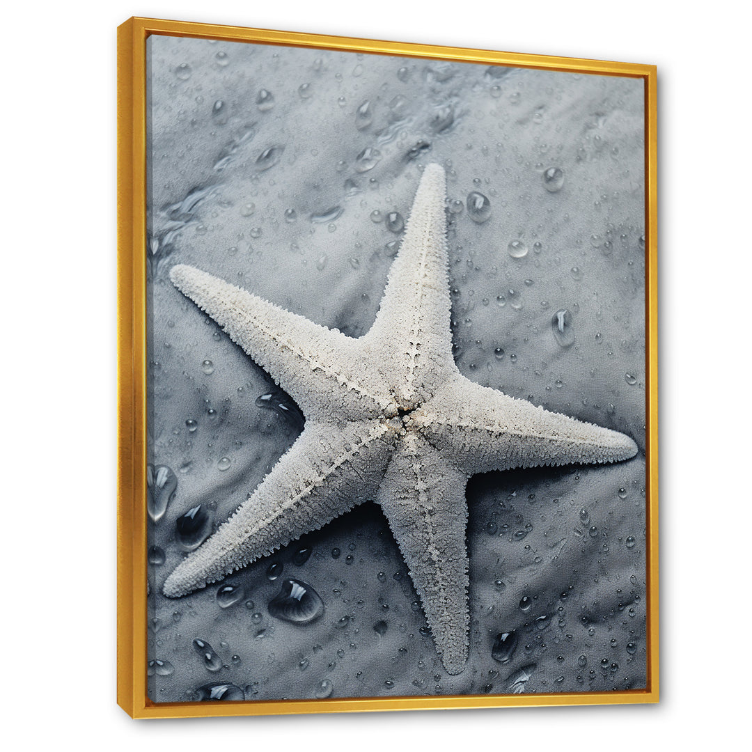 Grey minimalist Starfish Coastal gem - Starfish Wall Decor