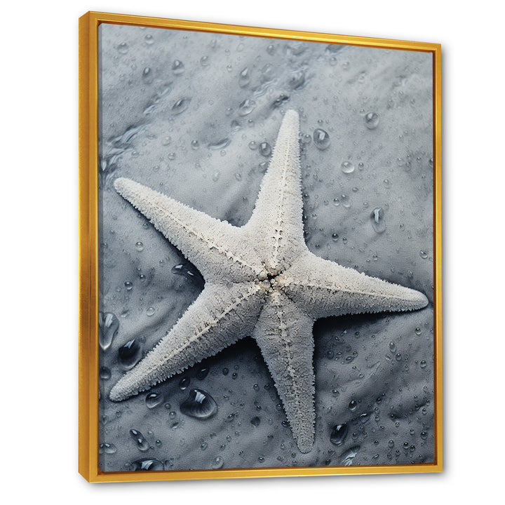 Grey minimalist Starfish Coastal gem - Starfish Wall Decor