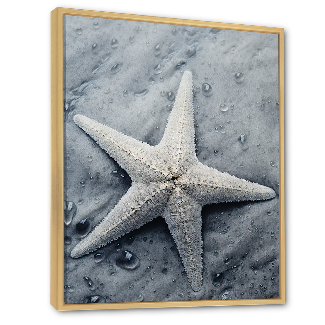 Grey minimalist Starfish Coastal gem - Starfish Wall Decor